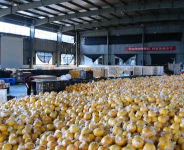 順豐快遞給手動(dòng)液壓搬運(yùn)車(chē)消毒，保障生鮮瓜果食品安全
